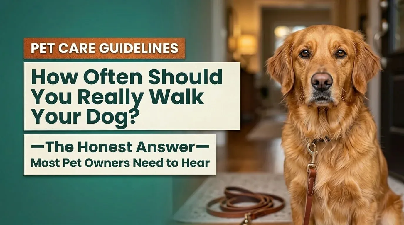 How Often Should You Really Walk Your Dog? The Honest Answer Most Pet Owners Need to Hear