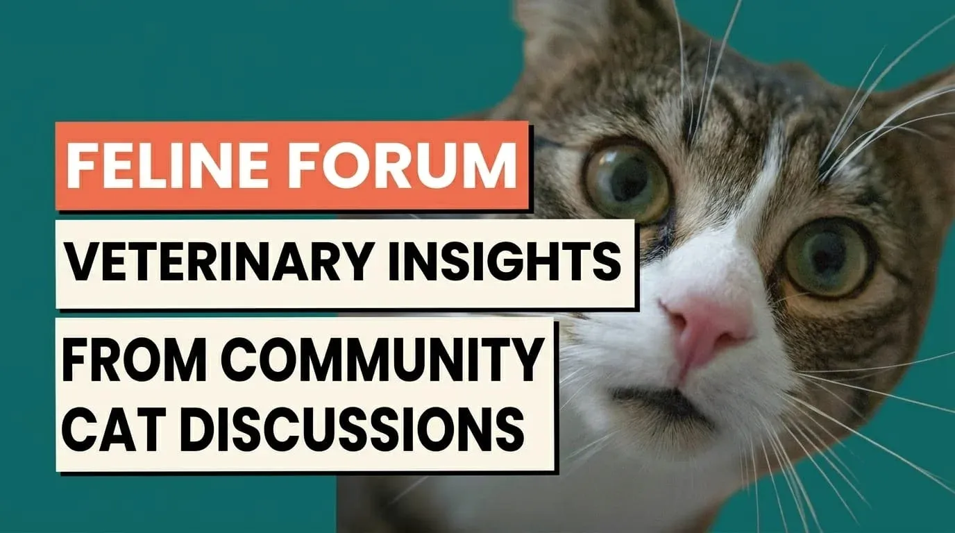 Feline Forum: Veterinary Insights from Community Cat Discussions