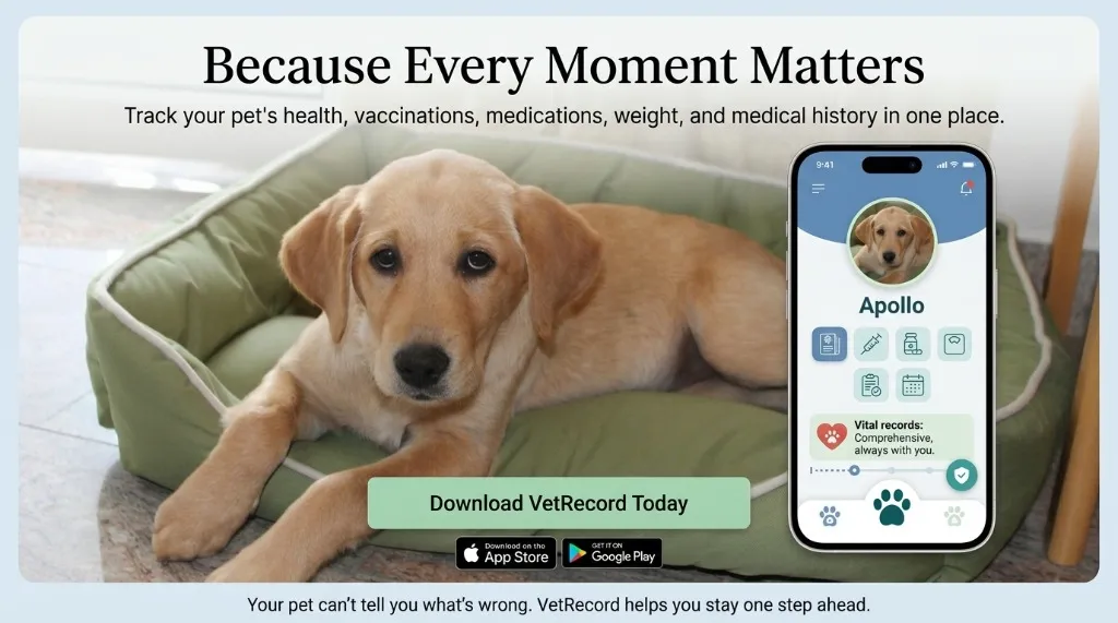 Download VetRecord: Pet Health Tracker