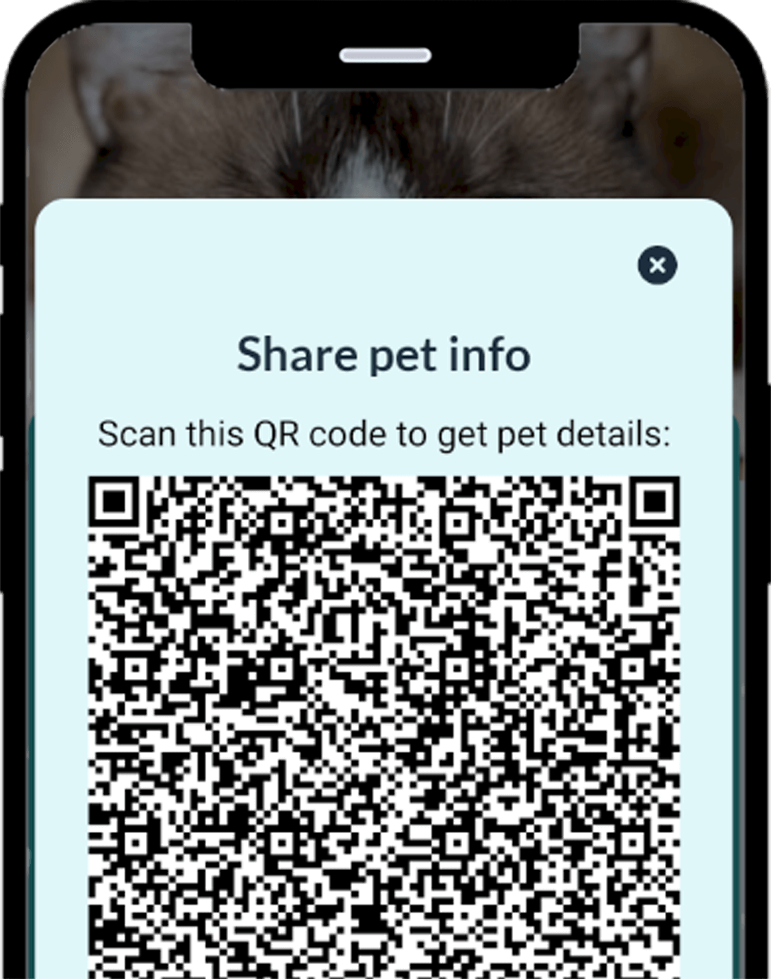 Vet Record smart reminders for pet vaccinations and medications