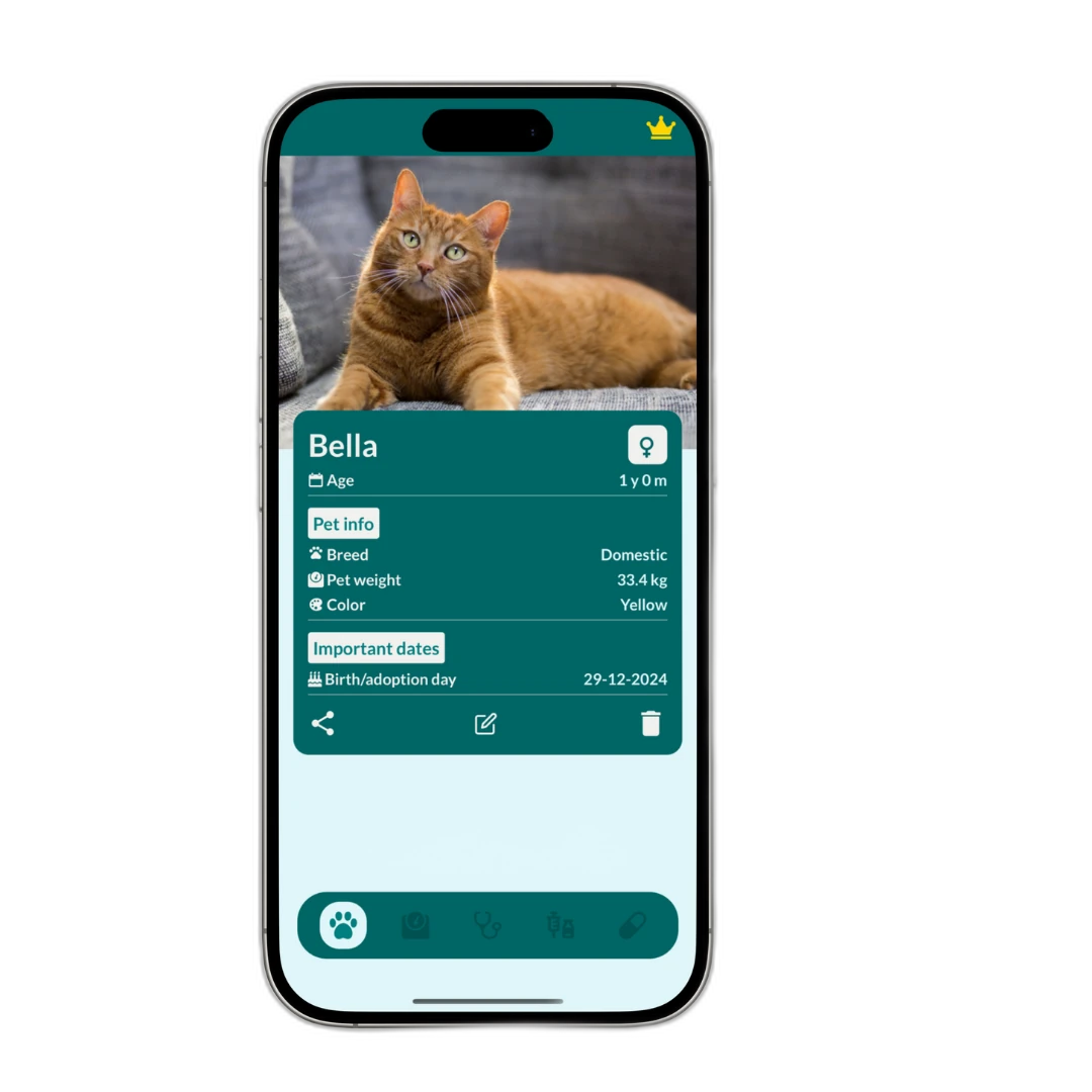 Vet Record medication reminder screen for dogs and cats